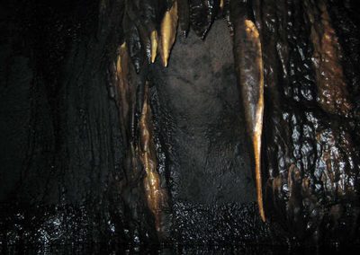immersione - grotta delle corvine01